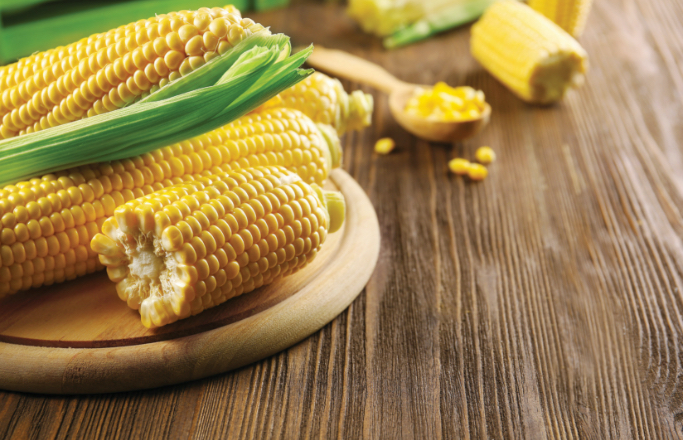 Is your corn domestically grown? Are there GMOs?